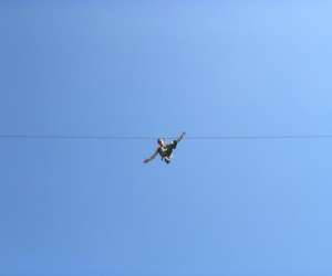 photo Accrobranche oc'aventures St Jean De Cuculles 11964