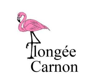 photo Plongee carnon Carnon Plage 10793