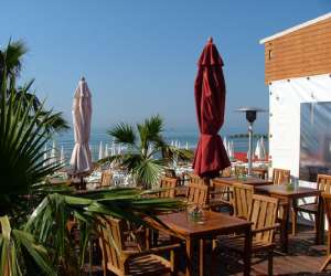 photo Palm ray plage Carnon Plage 1854