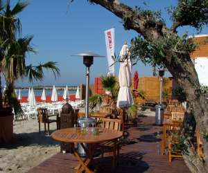 photo Palm ray plage Carnon Plage 1855