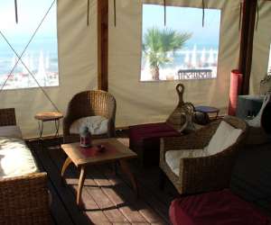 photo Palm ray plage Carnon Plage 1857