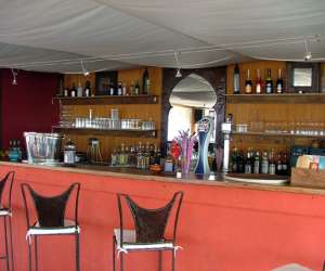 photo Palm ray plage Carnon Plage 1858