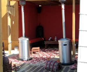 photo Palm ray plage Carnon Plage 1859