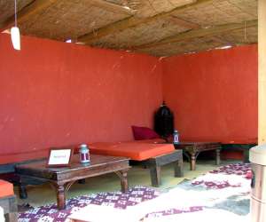 photo Palm ray plage Carnon Plage 1860