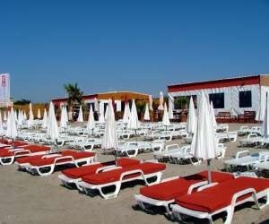 photo Palm ray plage Carnon Plage 1861