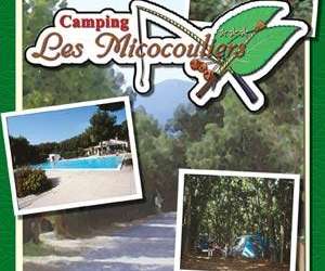 Camping les micocouliers