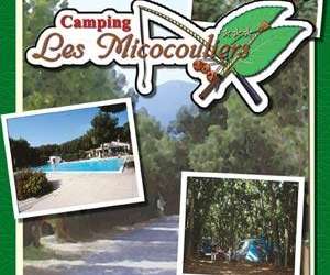 Camping Les Micocouliers