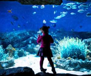 photo  planet ocean montpellier Montpellier 20026