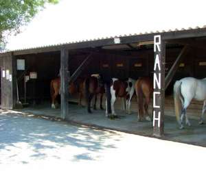 photo Ranch luke Agde 1968