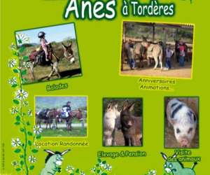 photo La ferme aux nes de torderes Torderes 13401