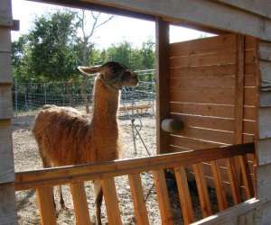 photo La ferme aux nes de torderes Torderes 13402