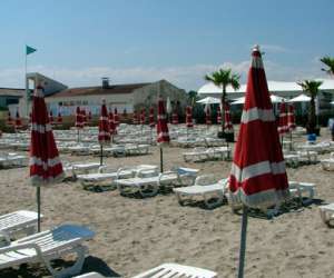 photo La plage des lzards  (lezard beach) Carnon Plage 2011