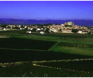 Domaine La Croix Belle