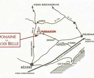photo Domaine la croix belle Puissalicon 2041
