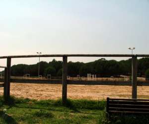 photo Centre  equestre municipal montpellier grammont Montpellier 2060