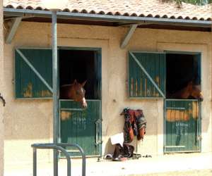 photo Centre  equestre municipal montpellier grammont Montpellier 2062