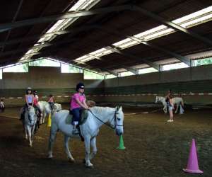 photo Centre  equestre municipal montpellier grammont Montpellier 2065