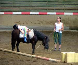 photo Centre  equestre municipal montpellier grammont Montpellier 2066