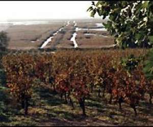 photo Le domaine saint upery Serignan 2173