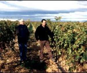 photo Le domaine saint upery Serignan 2175