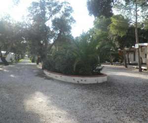 photo Camping le romarin Argeles Sur Mer 14818