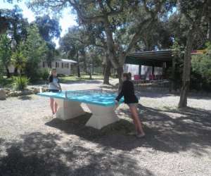 photo Camping le romarin Argeles Sur Mer 14821