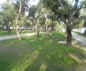photo Camping le romarin Argeles Sur Mer 14823