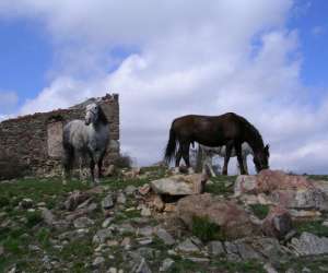 Equit Sournia Equit Sournia