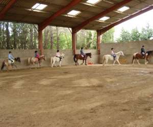 Poney Club Du Soler Poney Club Du Soler
