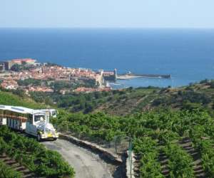 Le Petit Train Touristique