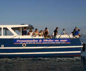 photo Compagnie maritime c.t.m - peche en mer Port Barcares 11672