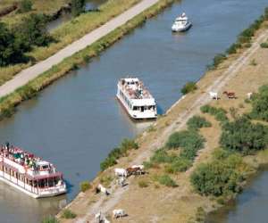 photo Croisiere de camargue peniche isles de stel Aigues Mortes 12510