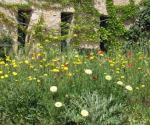 photo Restaurant la cave d'agnes Fitou 4208