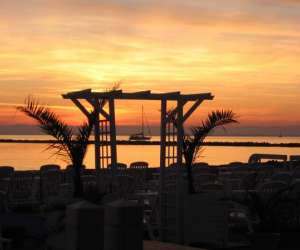 photo Palm beach Port Camargue 3712