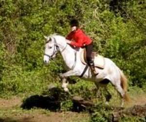 photo Centre equestre d'anduze Anduze 10490