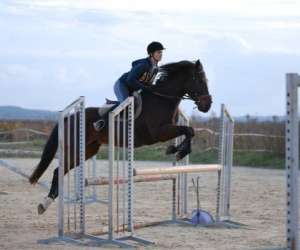 photo Centre equestre aubordois Aubord 14137