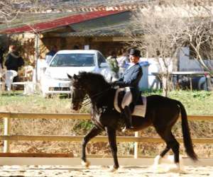 photo Centre equestre aubordois Aubord 14138