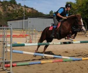 Centre Equestre D'alès Centre Equestre D'alès