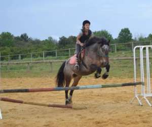 photo Centre equestre mejannes le clap Mejannes Le Clap 16697