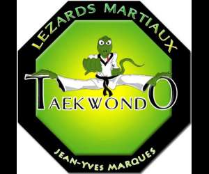 Taekwondo lezards martiaux 