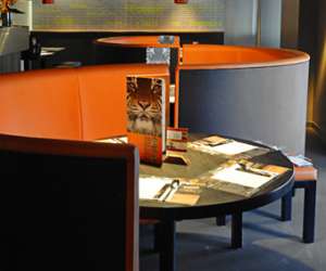 photo Tigerwok nmes Nimes 3203