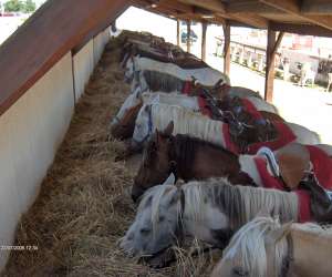 photo Ranch fumat Vias 3205