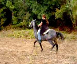 photo Ranch fumat Vias 3207
