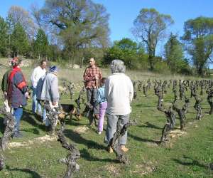 photo Ludivinum- l'cole du vin Montpellier 3235