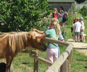 photo Green park / la ferme enchante St Chaptes 13363