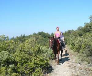 Ferme Equestre De Pommayrac