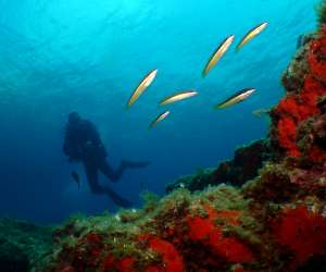 photo Sport pulsion plongee Port Vendres 3392