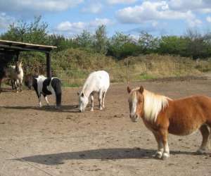 Centre Equestre La Licorne