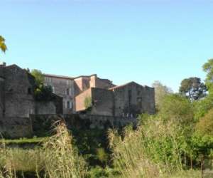 photo Les thophanies Rieux Minervois 5925