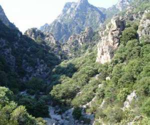 photo Terre liquide Olargues 4033
